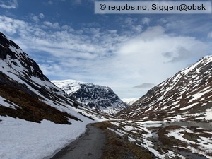 Observation photo 19