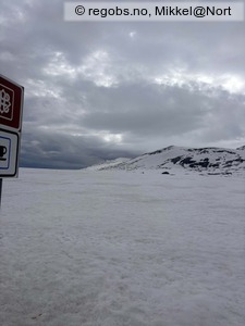 Observation photo 5