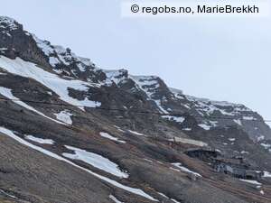 Observation photo 4