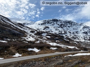 Observation photo 18