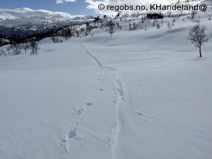 Bilde Av Notater