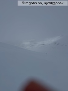 Observation photo 2