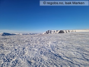 Observation photo 2