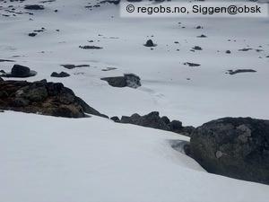 Observation photo 24