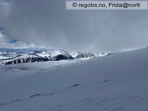 Observation photo 1