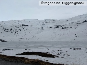 Observation photo 12
