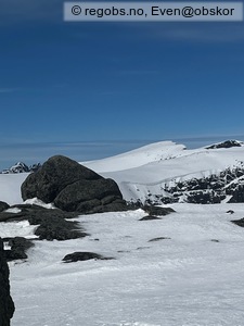 Observation photo 9