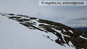 Observation photo 3