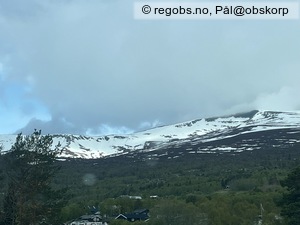 Observation photo 23