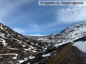 Observation photo 20