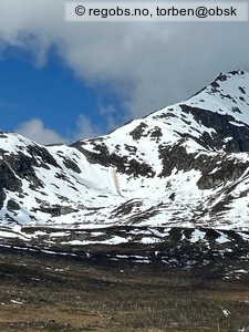 Observation photo 1