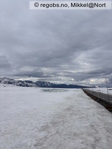 Observation photo 4