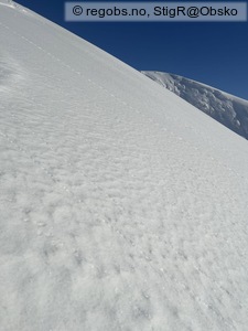 Bilde Av Snødekke