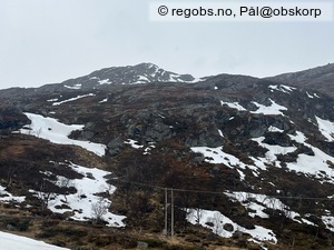 Observation photo 8