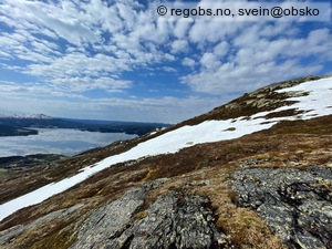 Observation photo 5