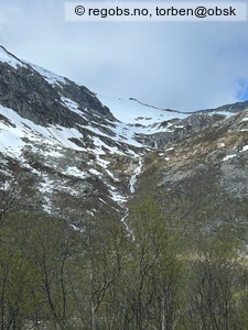 Observation photo 8