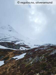 Observation photo 6