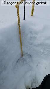 Observation photo 6