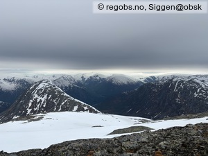 Observation photo 4