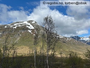 Observation photo 6
