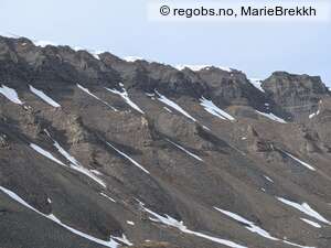 Observation photo 14