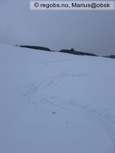Observation photo 4