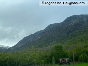 Observation photo 16