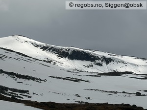Observation photo 9