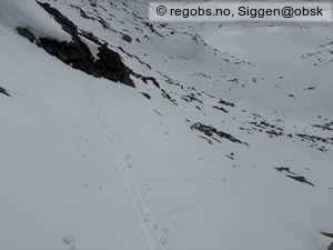 Observation photo 11
