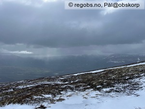 Observation photo 11