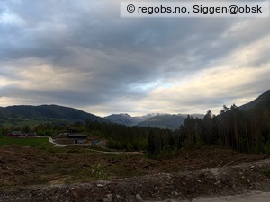 Observation photo 18