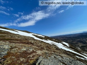 Observation photo 6