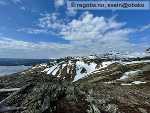 Observation photo 3