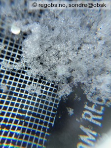 Observation photo 8
