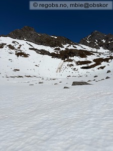 Observation photo 5