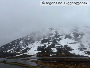 Observation photo 6