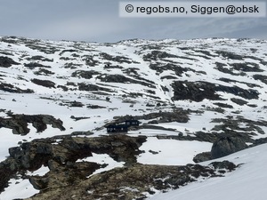 Observation photo 15