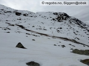 Observation photo 21