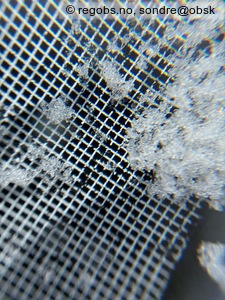 Observation photo 9