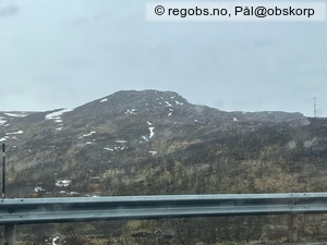 Observation photo 11