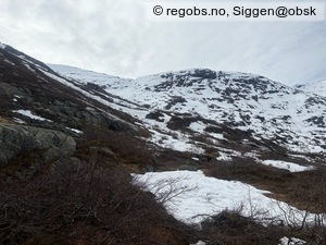 Observation photo 16