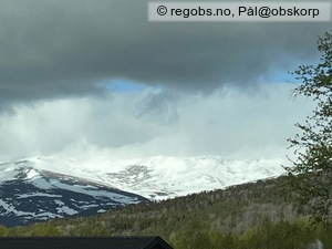 Observation photo 9