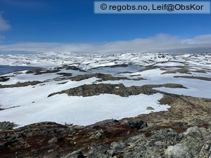 Observation photo 5