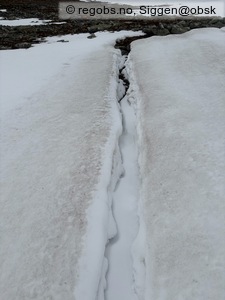 Observation photo 11