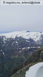Observation photo 7