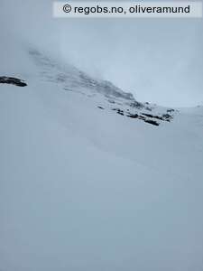 Observation photo 3