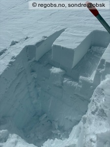 Observation photo 7