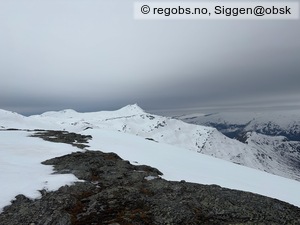 Observation photo 2
