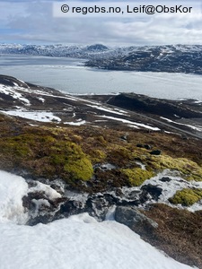 Observation photo 7