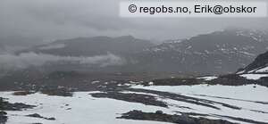 Observation photo 14